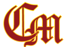 Champions Mentality Consulting